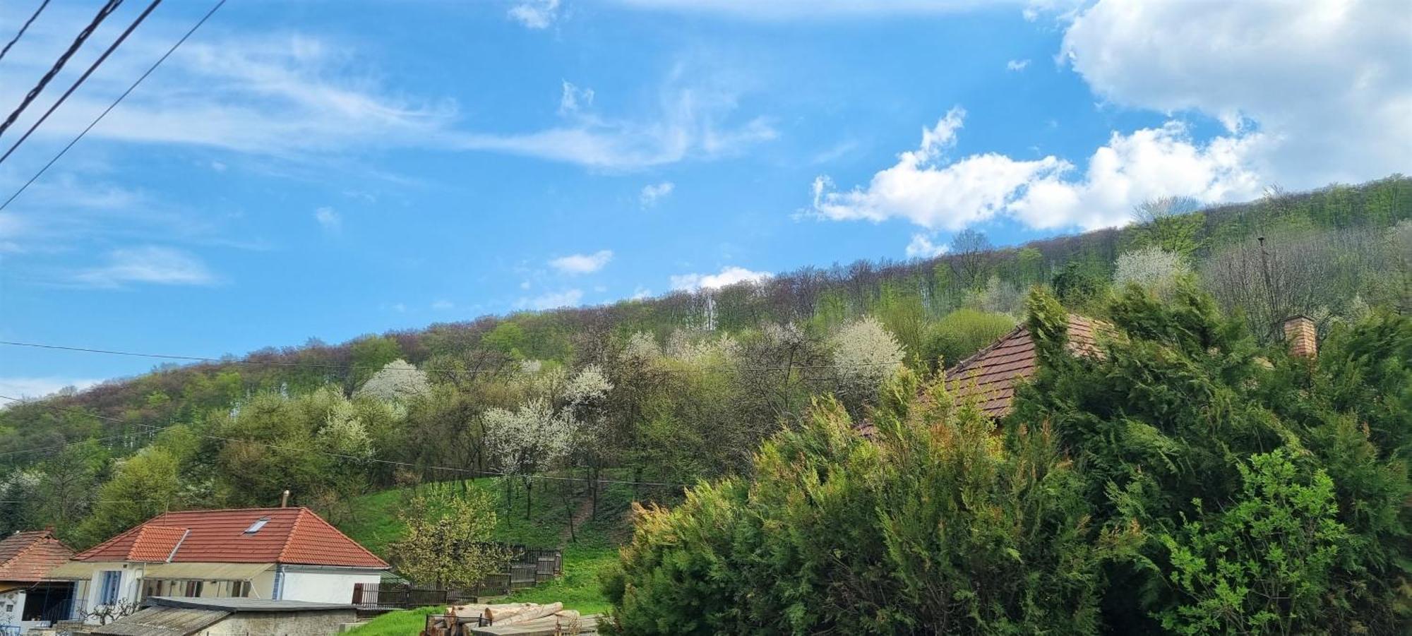 Hos Vendeghaz Miskolc -Oenallo Vendeghaz, Mely Csak Az Oenoeke Экстерьер фото